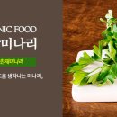 싱그러운청도로(봄) 이미지