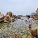 주전월남정화장실 이미지