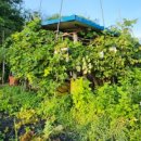 백천농장 이미지