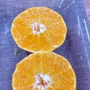 정희농장 이미지