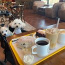 자연동물병원 이미지