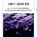 더착한랩 | 아기 있는 집이라면 추천! 착한랩 퓨리에어 PRO 날개없는 선풍기 실사용 후기