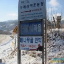 묘동농장 Daum카페