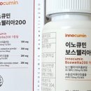 관절몰
