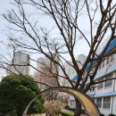 주)수풀림 이미지