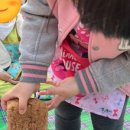 보리네숲어린이집 이미지