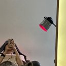 💆 비듬+가려움 끝! 신촌 비듬관리 잘하는 곳 – 모앤영 신촌점 방문후기