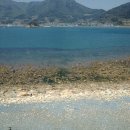 꽃달임펜션 이미지