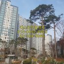 예스(단지내)공인중개사사무소 이미지