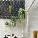 스테이유유 이미지