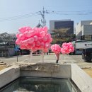 와이 | 안국역 북촌 YLESS 와이레스 팝업 후기