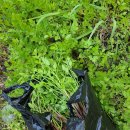 지에스(GS)25모종중앙점 이미지