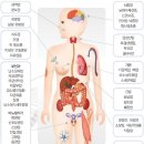 EHY-2000 (Oncothermia)고주파 온열암 치료기 이미지