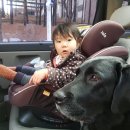 보리토리 이미지