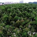 삼호가축약품 이미지