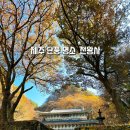 대운팩토리 | 제주도 단풍 명소 천왕사 / 천아계곡 11월초 단풍 낙엽 현황 주차장 안내