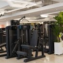 스페셜바디 레이디 이미지