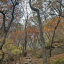 산성로 | 전북 무주 적상산 단풍 등산 후기 / 최단코스·안렴대에서 본 뷰·주차 및 등산 팁