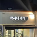 박하나자