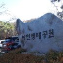 정자세천 이미지