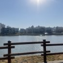 참항제주뚝배기은계