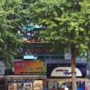 신매 | 대구답례떡 후기 신매시장 연희떡방과 백안발효 천연색 4가지 떡세트