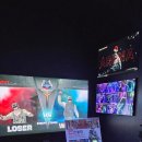 개구리게임장 이미지