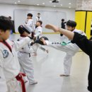 용인대 석사 타이거즈 태권도장 이미지