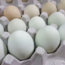 푸른알 영농조합법인 이미지