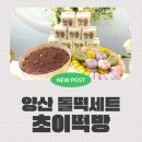 초이떡방 | 양산 우리아이의 첫돌상 돌떡세트는 초이떡방에서 내돈내산 후기.