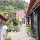 섬꽃향기 민박 이미지