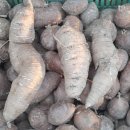 강산슈퍼 이미지