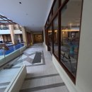 만원헤어클럽 | 보홀 헤난 타왈라 리조트 디럭스룸 3박5일 조식, 알로나비치 가는길 풀바 보증금 후기