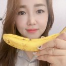 루트빈 이미지