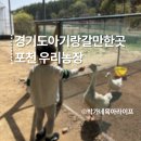 우리농장 | 아기랑 가볼만한곳 포천 우리농장 체험 후기 정리