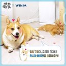 백호축산 이미지