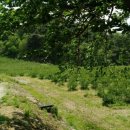 김옥수농장 이미지