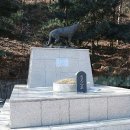 제4땅굴 Daum카페