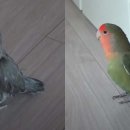 학계농장 이미지