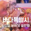 [대구 북구 횟집] 싱싱함 끝판왕 분위기 끝판왕 침산동맛집 바다특별시