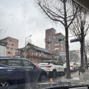황금소플러스 | [임신준비] 인공수정 난포 터트리기 전 초음파검사