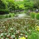 발바닥공원 이미지