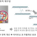 소노케어 네이버블로그