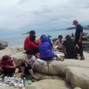 광성카독크 이미지