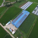 태양축사 이미지