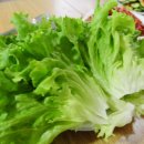 노아민박 이미지