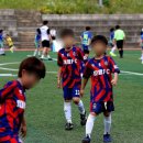 앤에프씨 | 세종시 축구교실 대왕FC⚽ 후기!!😊