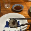 로지토라
