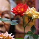 김종섭농장 이미지