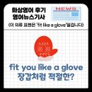Like Fit | 의류 표현 &#39;Fit Like a Glove&#39; 장갑처럼 적절한? bursting at the seams , keep your shirt on